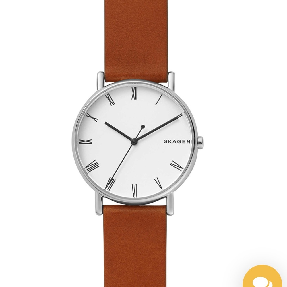 Skagen Brown Leather Watch and Two Cases!